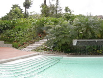 DSCN0087