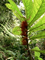DSCN0115